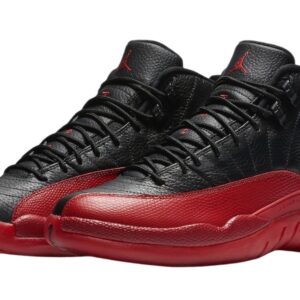 Air Jordan 12 Flu game